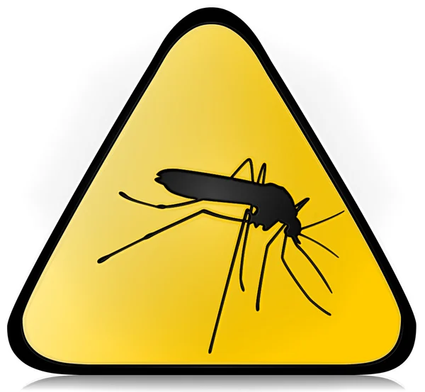 Mosquito Fotografia De Stock