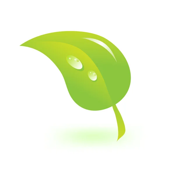 Grönt blad — Stock vektor