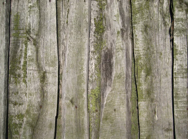 背景、木製フェンス — ストック写真