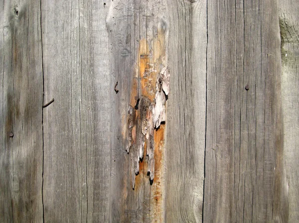 Latar belakang, pagar kayu — Stok Foto