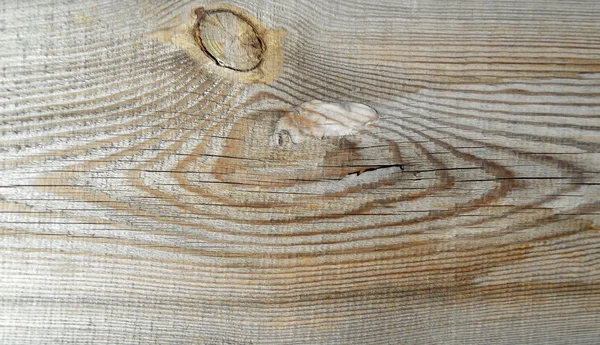 Фон, Дерево — стоковое фото