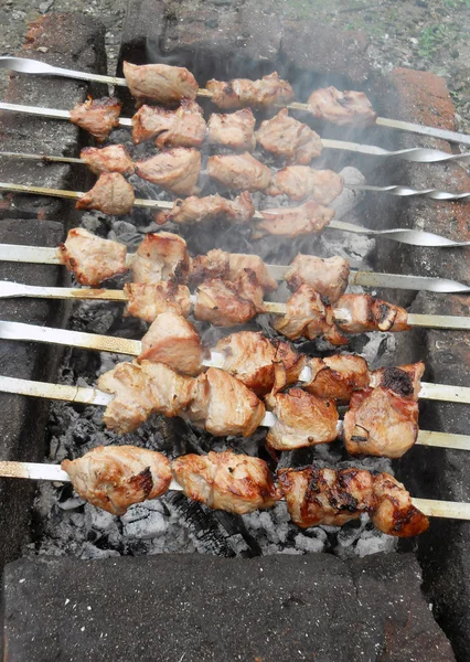 Cibo, Shish kebab — Foto Stock