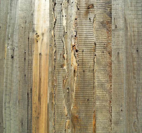 Fundos, Cerca de madeira — Fotografia de Stock