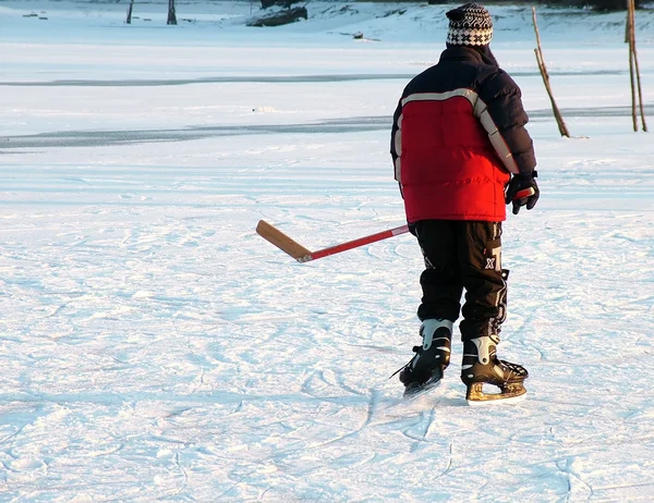Хокей на озері Стокове Фото