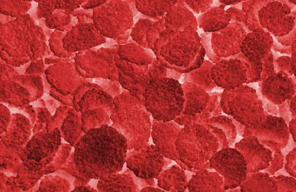 stock image Abstract red blood cells