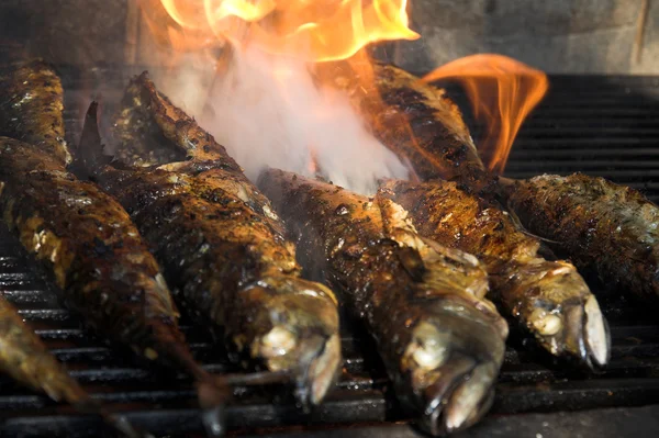 Рибний барбекю - риба на вогні Стокове Зображення