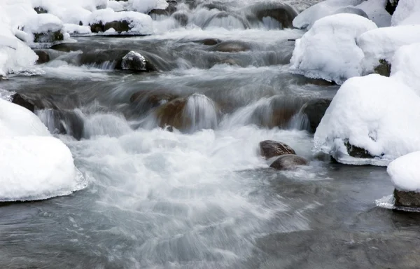 stock image Mountain spring