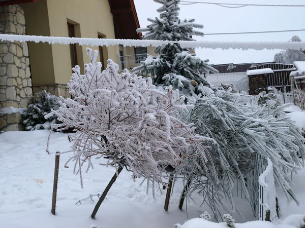 stock image Winter landscape