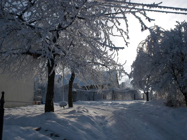 stock image Winter landscape