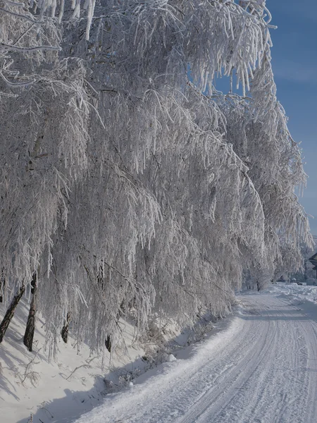 stock image Winter landscape