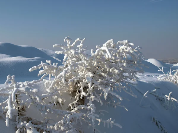 stock image Winter landscape