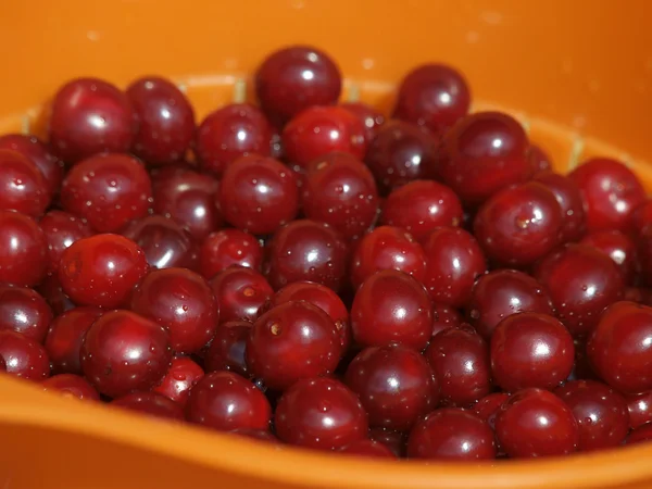 stock image Sweet cherry fruit