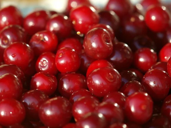 Sweet cherry fruit — Stock Photo, Image