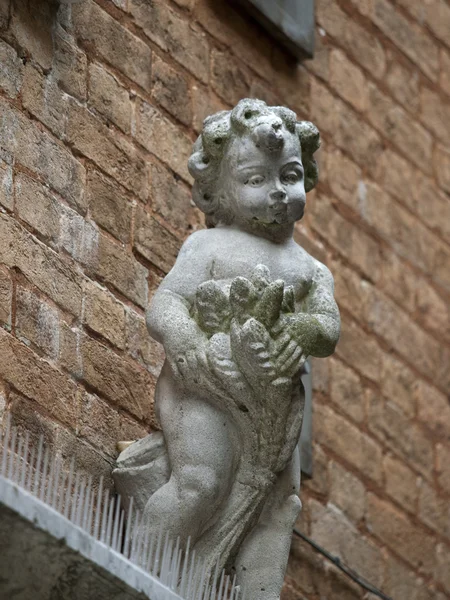 サンタ・マリア ・ グロリオーサ ・ デイ ・ フラーリ - ヴェネツィア — ストック写真
