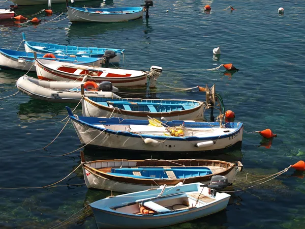 Riomaggiore - Cinque Terre — Stok fotoğraf