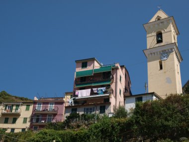 Manarola - clipart