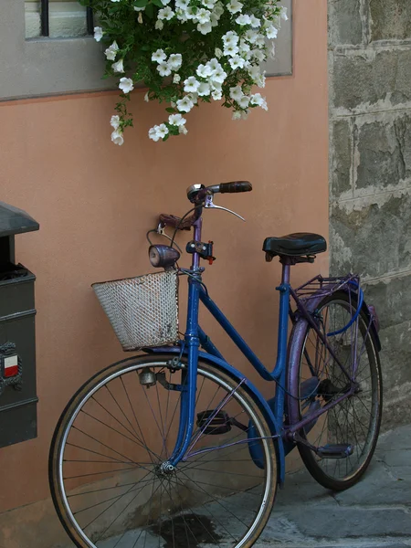 Одинокий синий велосипед в Лукке — стоковое фото