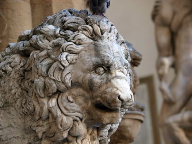 Floransa - piazza della signoria