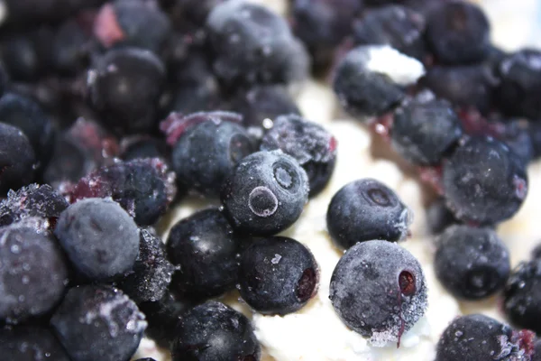 stock image Blueberries