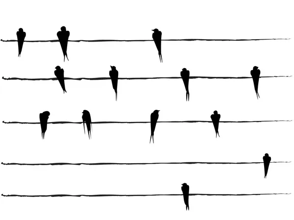 Силуэты птиц на проводах — стоковый вектор