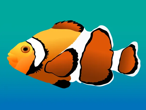 Coral reef ryby klaun — Stockový vektor