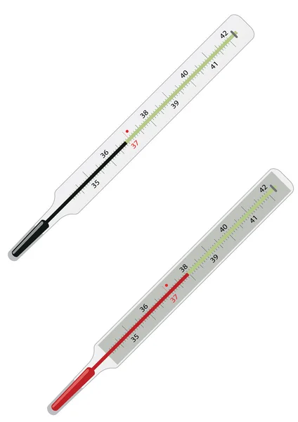 Thermometers illustrated — Stock Vector