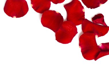 Day Valentine rose petals as background clipart