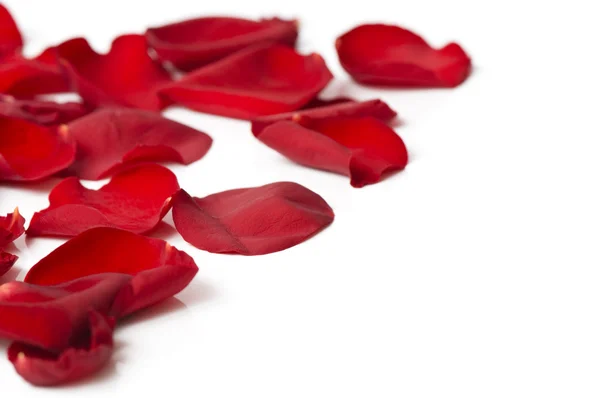 Day Valentine rose petals as background — Stock Photo, Image