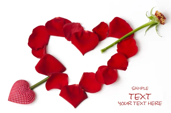 День Святого Валентина пелюстки червоної троянди — стокове фото