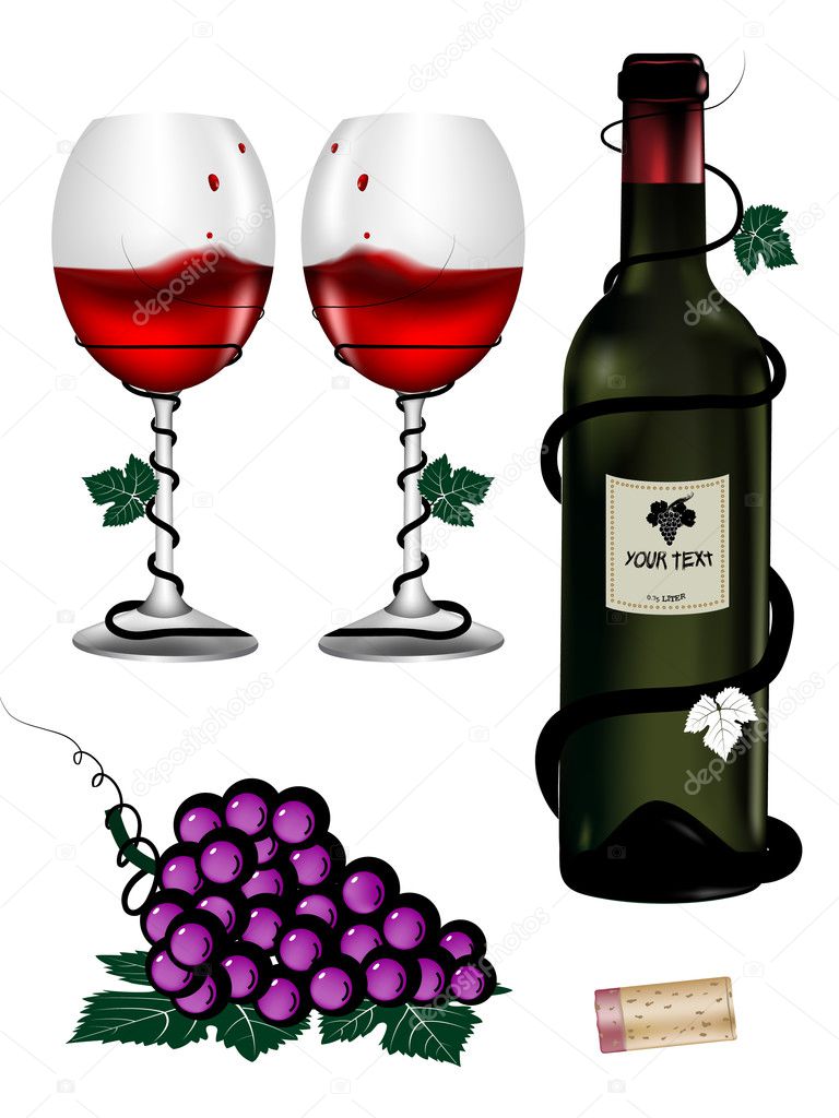 Wine bottles vector illustrated