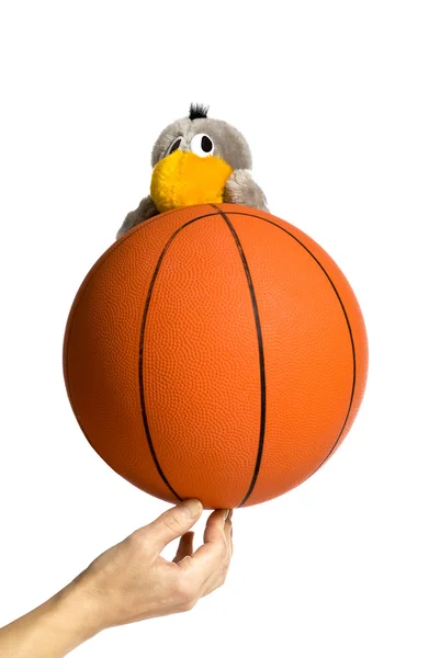 Mascotte et ballon de basket — Photo