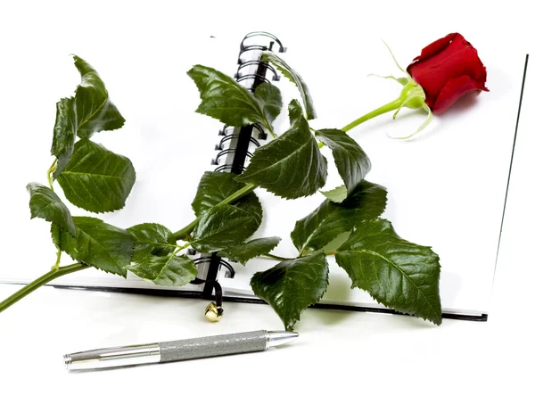 Otevřít kalendář a růže — Stock fotografie