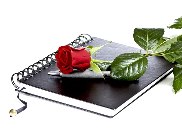 Rose och kalender — Stockfoto