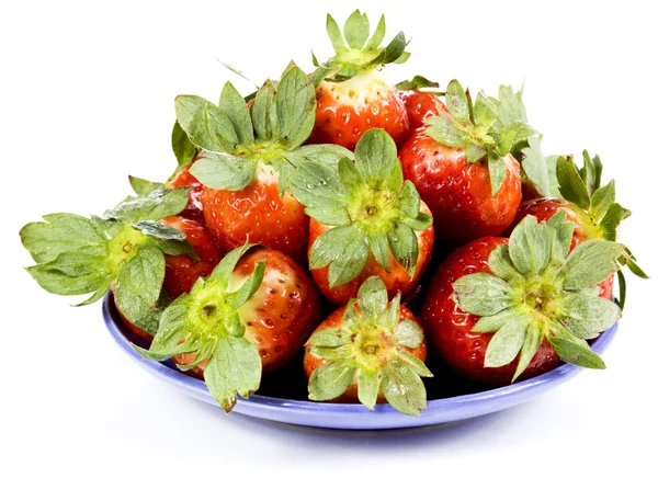 Several strawberry — Stock Photo, Image