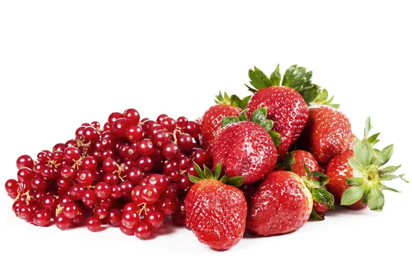 çilek ve kuş üzümü