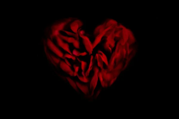 Bulanık kalp şeklindeki kırmızı üzerine siyah gül — Stok fotoğraf
