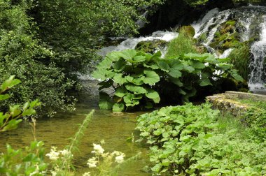 Plitvice şelaleler