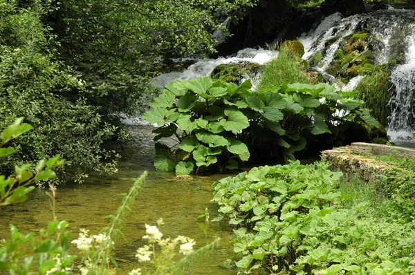 Plitvice vattenfall — Stockfoto