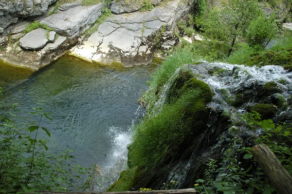 Una cascada rodeada de hierba verde —  Fotos de Stock