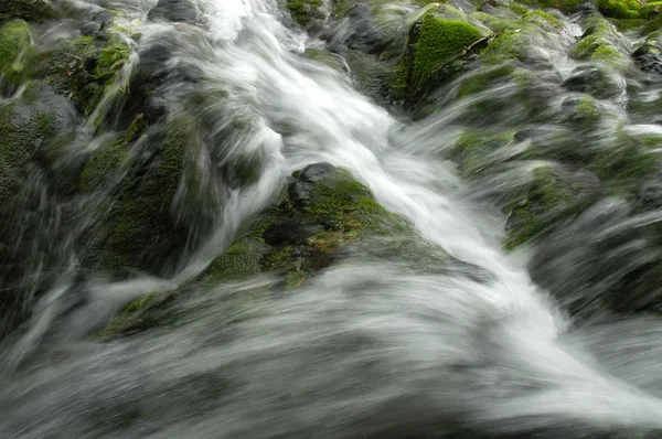 Plitvicer Wasserfälle. schnelle Wasserfallbäche fließen — Stockfoto