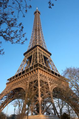 The Eiffel Tower, Paris, France clipart