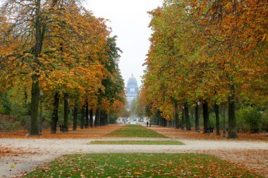 Tree Alley in Brussel clipart