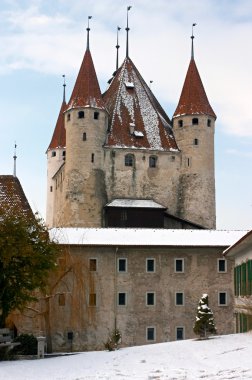 Thun'ın Kalesi (İsviçre)