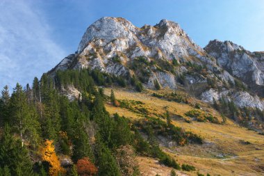 Autumn landscape in Jura