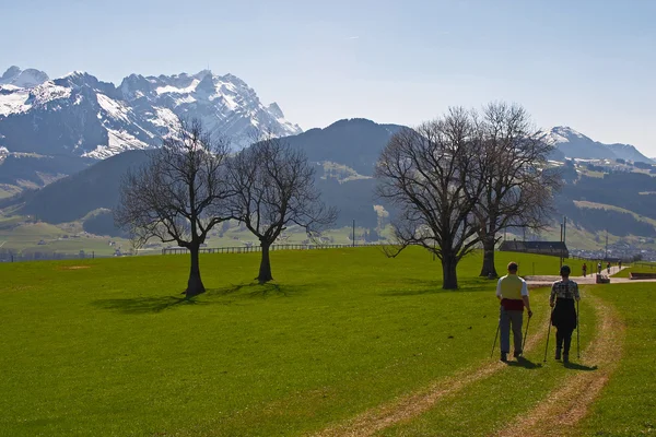 スイス アルプスでノルディックウォー キング — ストック写真
