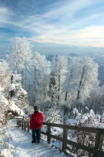 Dia de inverno maravilhoso — Fotografia de Stock