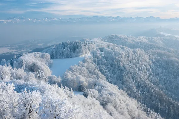 美丽的冬天天 — 图库照片