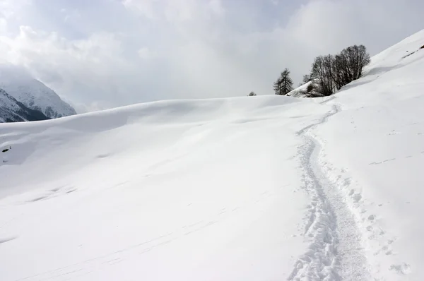 İsviçre Alpleri'nde kış dağ yolu — Stok fotoğraf