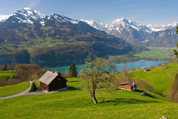 Alpská krajina na jaře — Stock fotografie