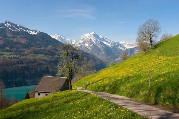 Alpská krajina na jaře — Stock fotografie
